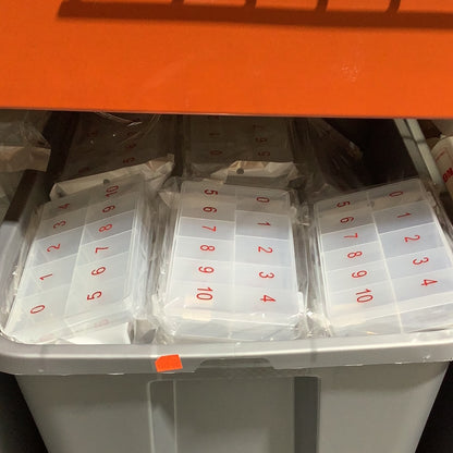 DL FROSTED NAIL TIP BOX