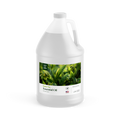 TOT Spa Essential Oil Green Tea 1 Gallon