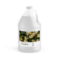 TOT Spa Essential Oil Honeysuckle 1 Gallon