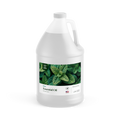 TOT Spa Essential Oil Mint 1 Gallon